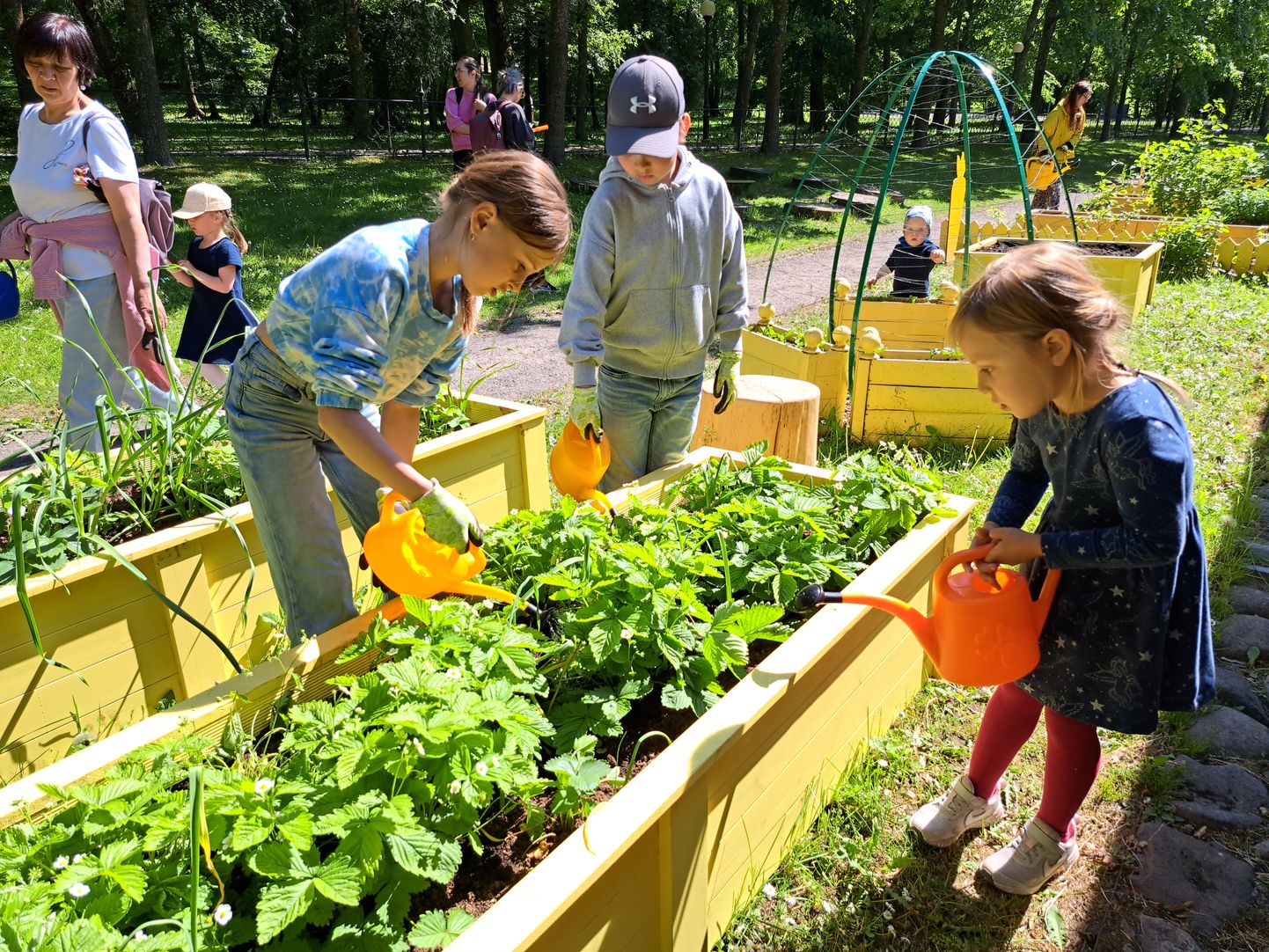 Aed on omal käel avastamiseks avatud iga päev, ent eriliselt oodatakse pisikesi aiasõpru külla reedeti, kui toimuvad lastele aiatunnid ehk Rohelised Reeded.