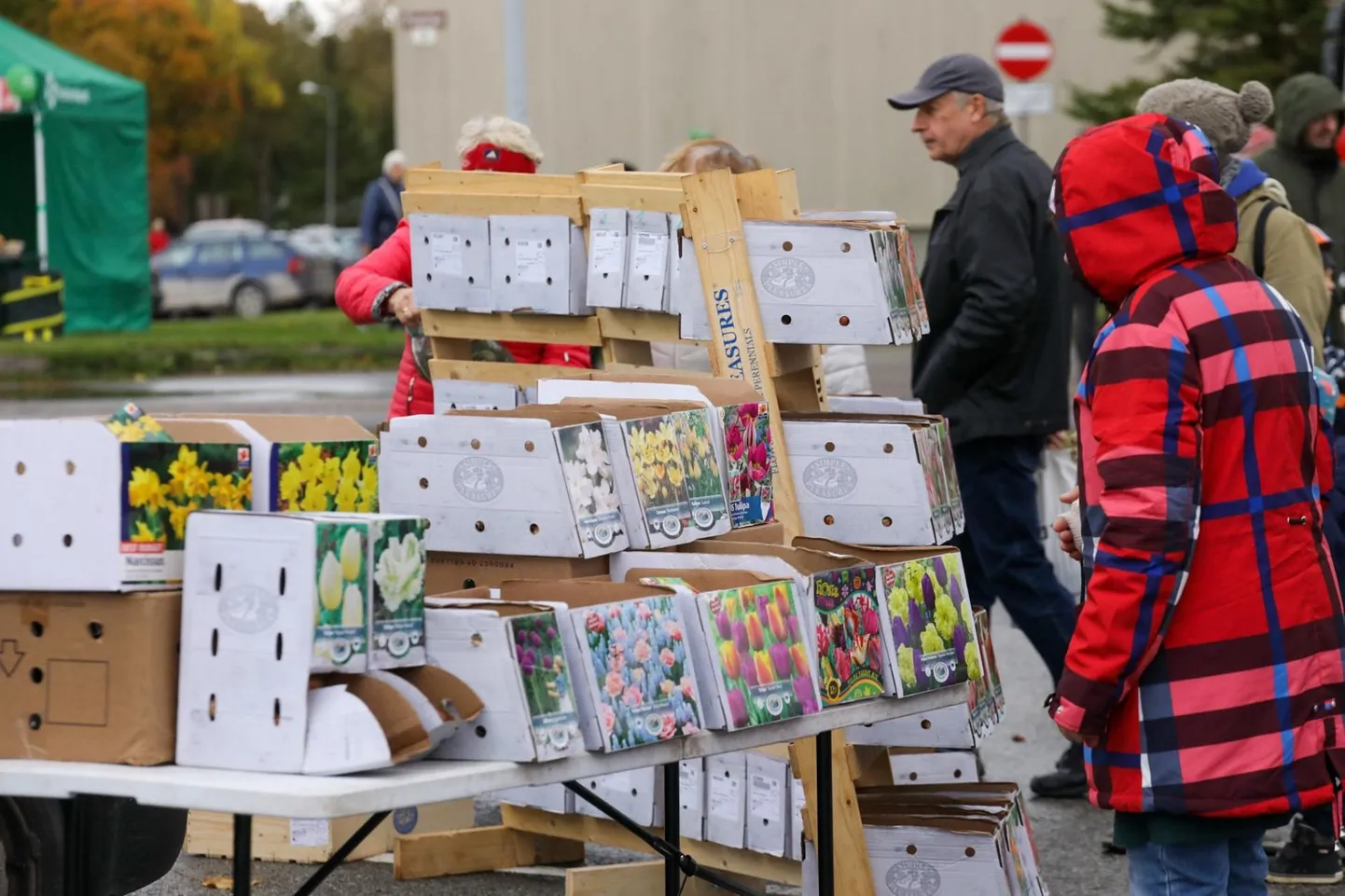 Lillesibulaid müüakse valmispakenditena ja lahtiselt ning nõudlus ei rauge.