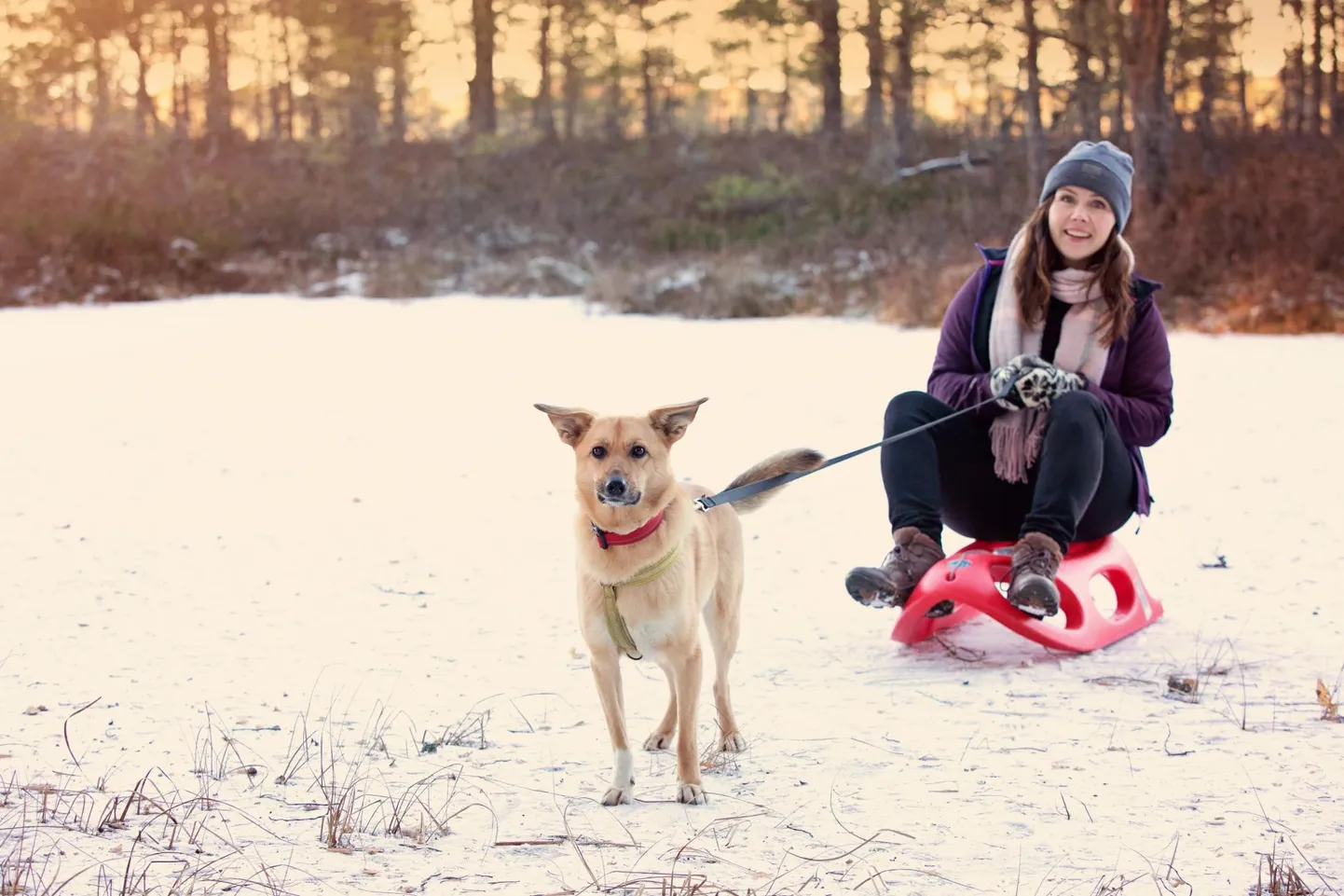 Maiu Lünekund ja Luna harjutavad polaarrännakuks.