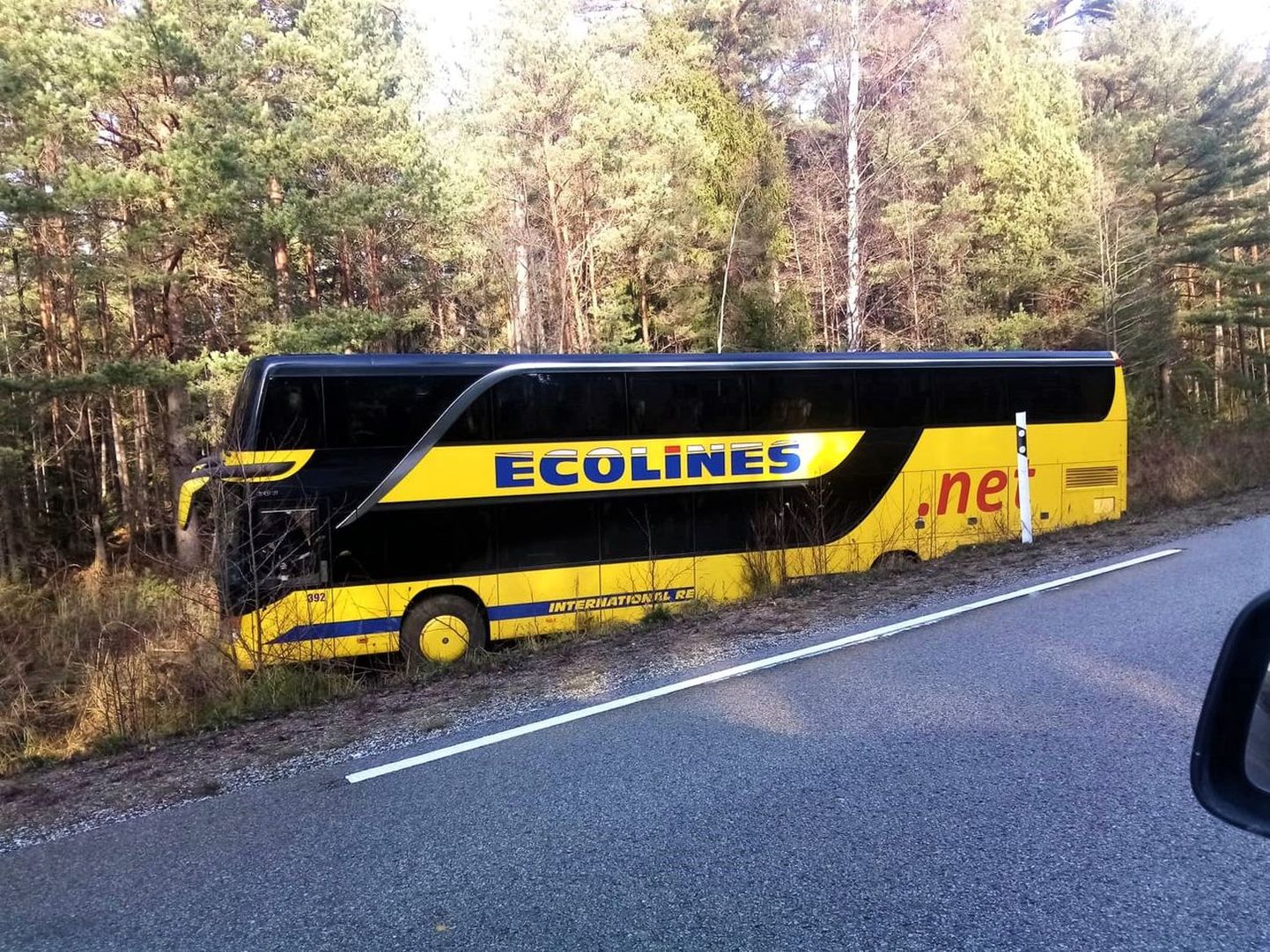 Автобус съехал с дороги