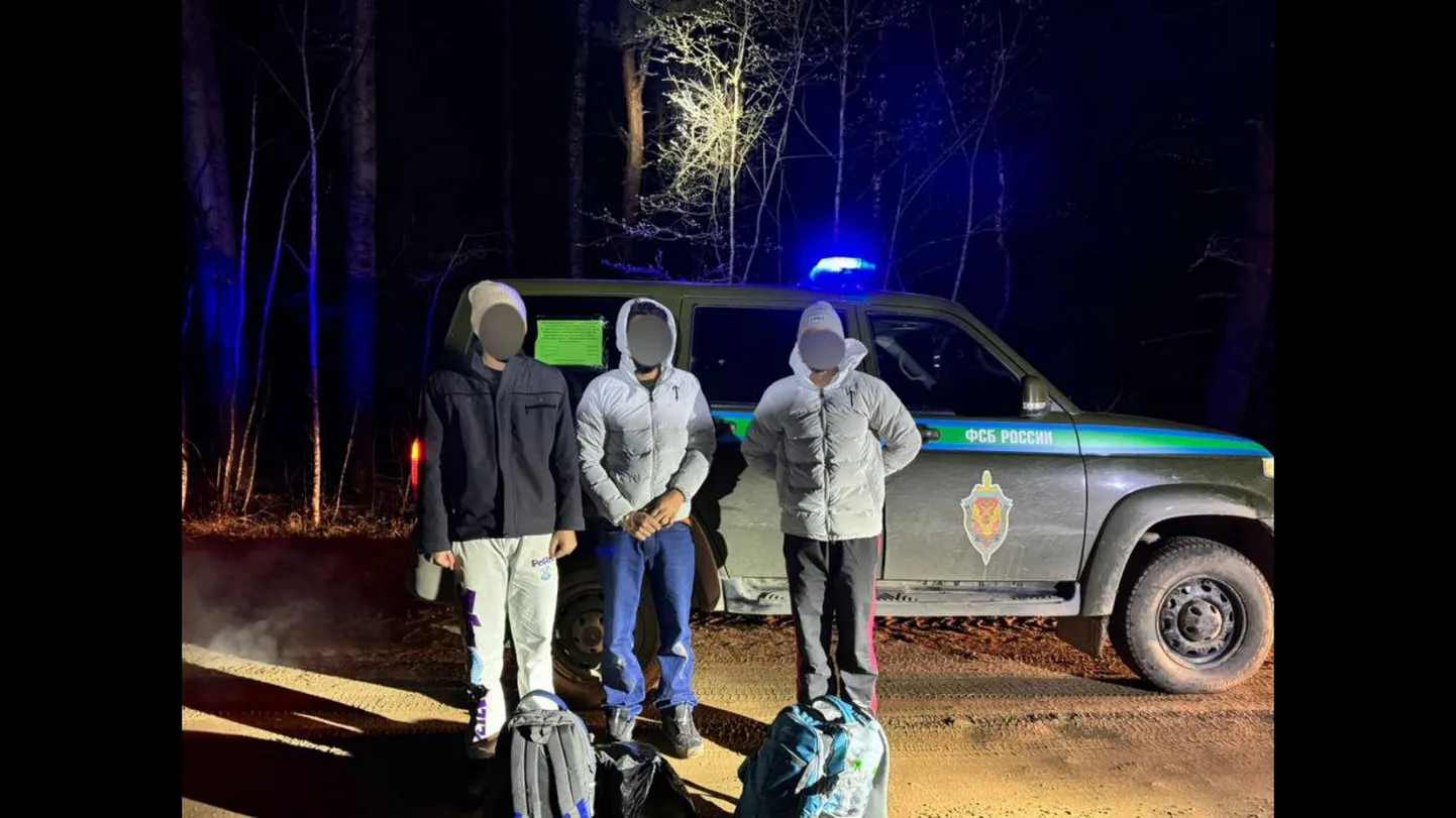 Трое нелегалов пытались пересечь границу недалеко от Печор.