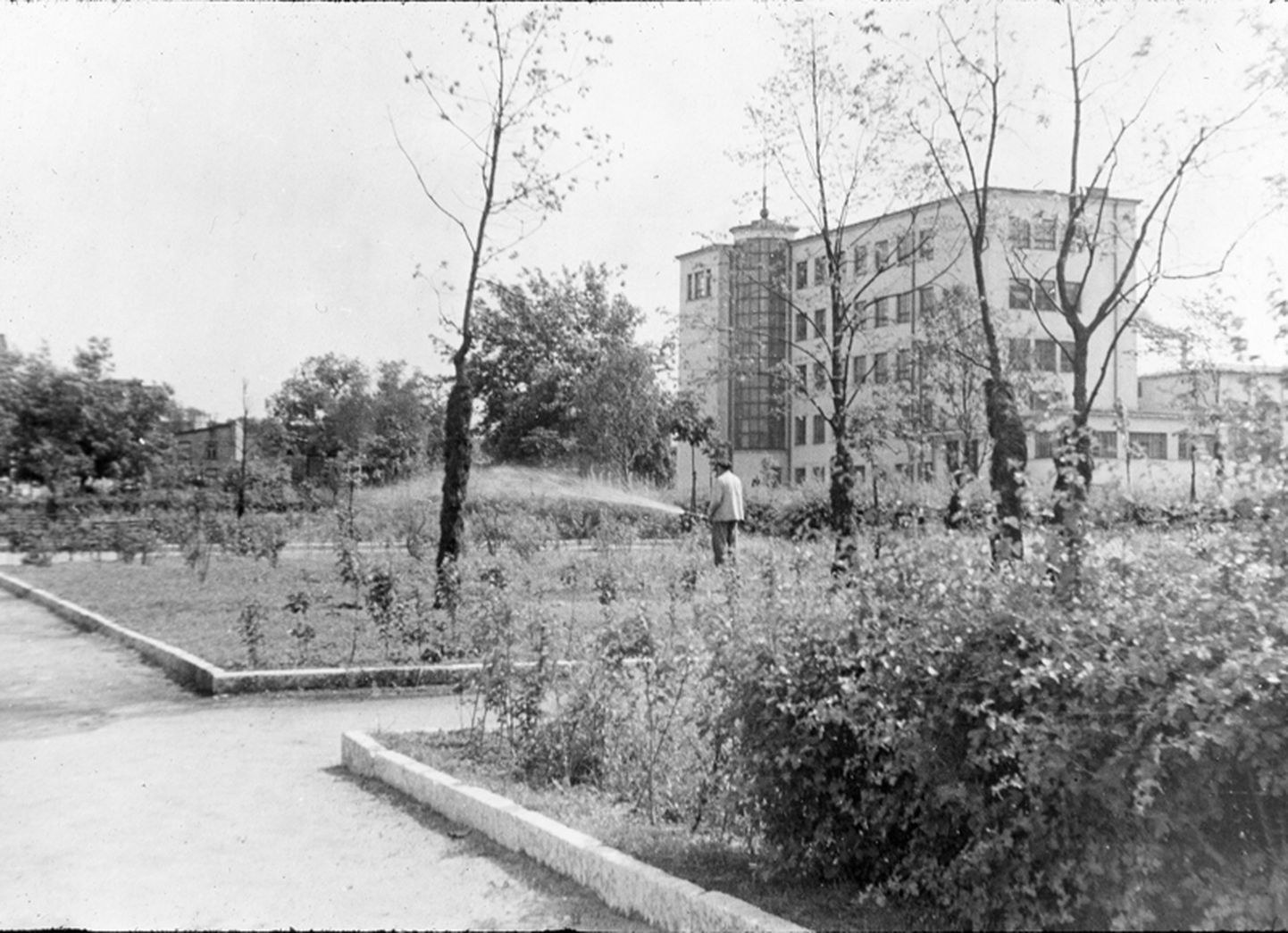 Вид на школу из тогдашнего Пионерского парка, 1960-е годы.