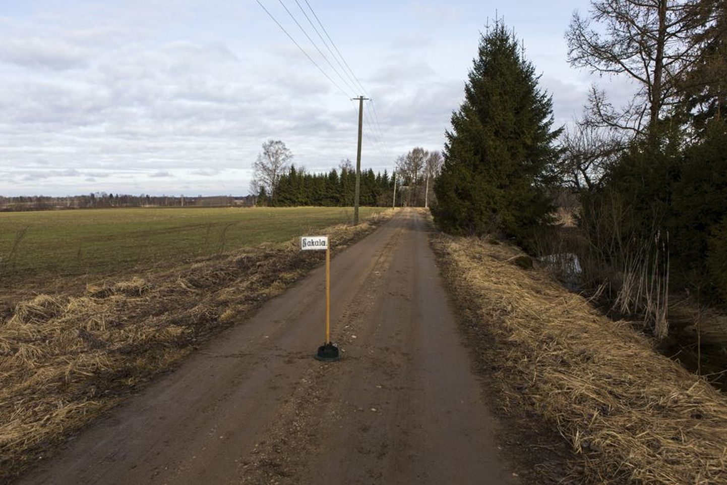58,2 m
Kolga-Jaani vald
Järtsaare küla, Aaviku voor
GPS: E 25,86086 ja N 58,55881