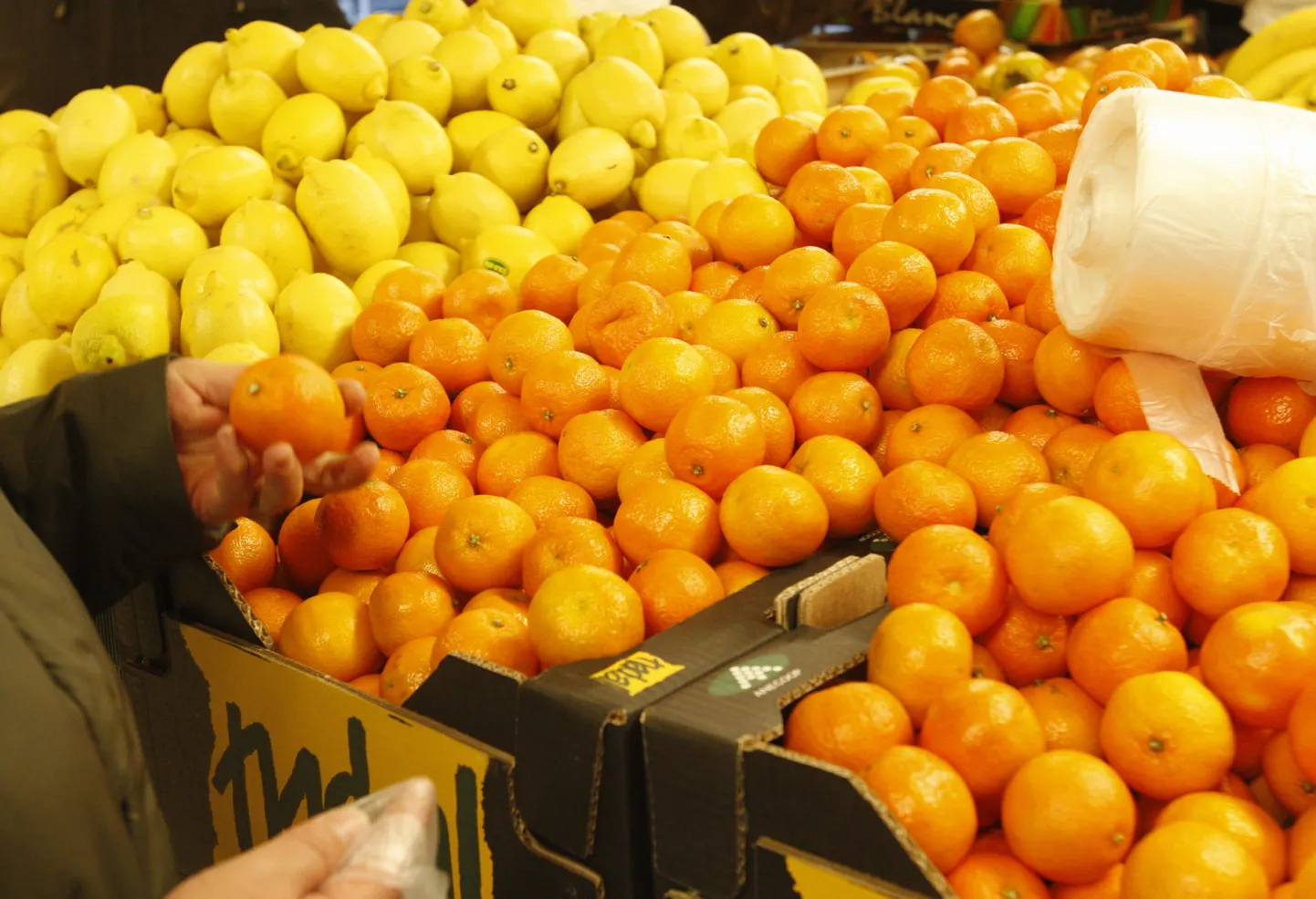 Supermarketite juhtide sõnul on Eestis müügil korduvalt kontrollitud ja valdavas osas otse tootjalt toodud mandariinid.