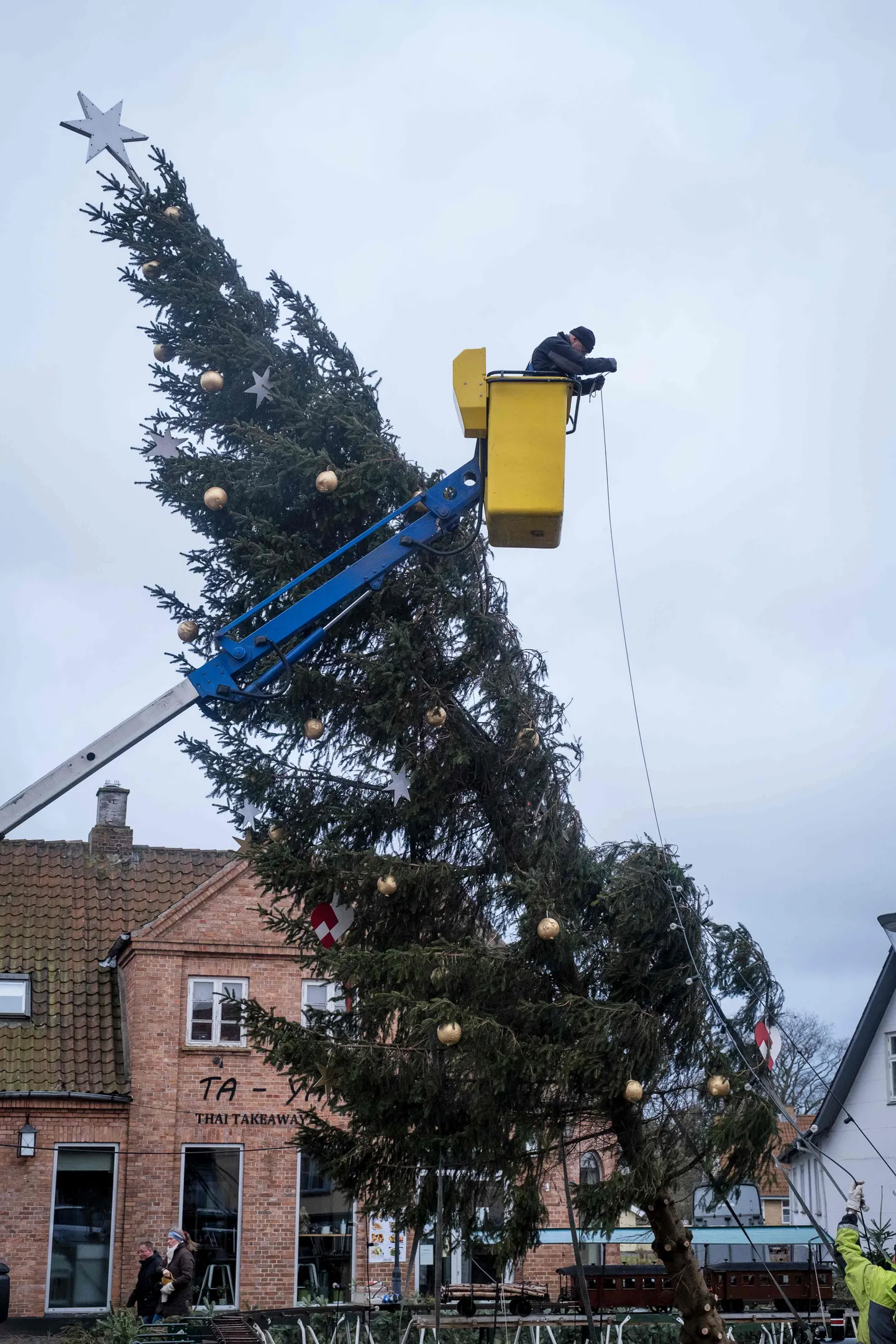 Рождественскую елку срубили после того, как она перевернулась во время шторма на острове Борнхольм, Дания.