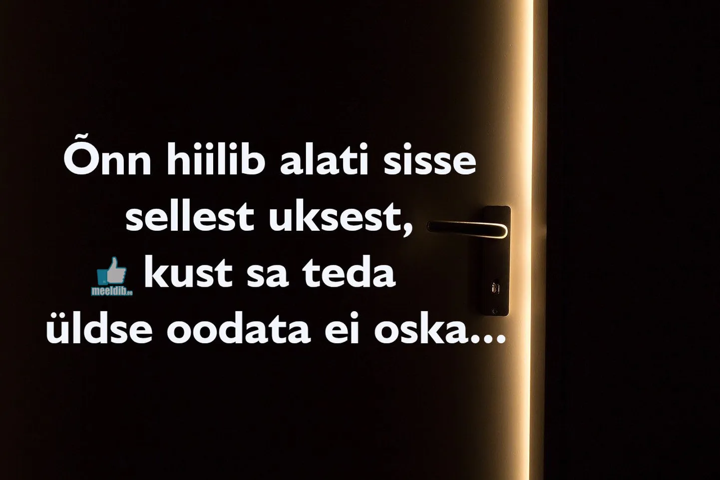 Artikli foto
