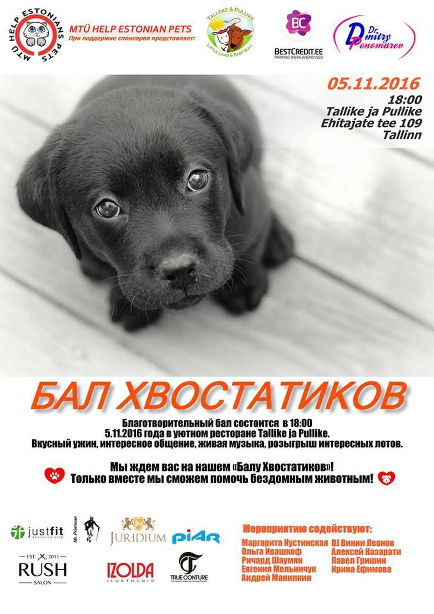 Фото статьи