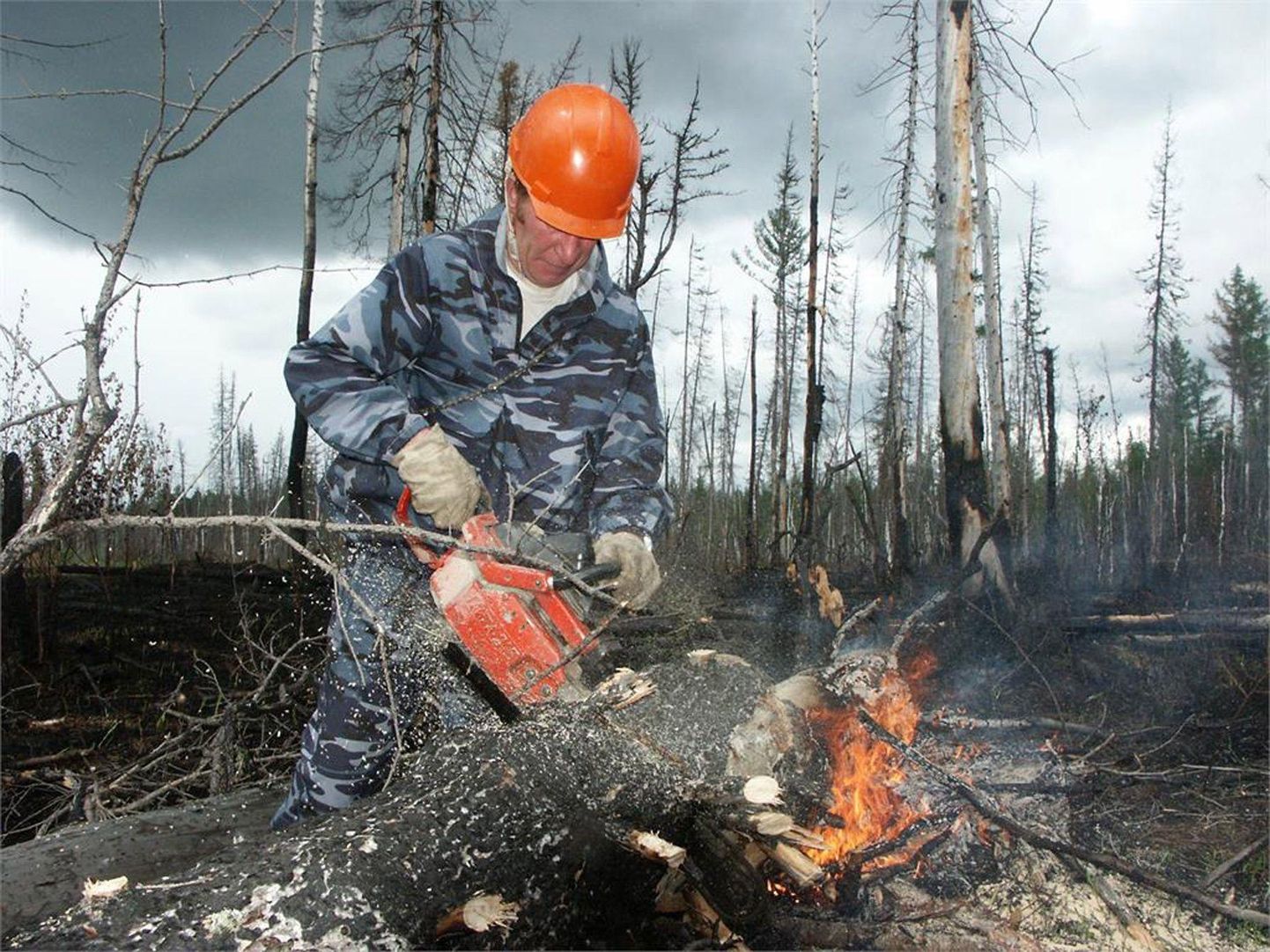 Kustutustööd Krasnojarski krais. Põlengutega võitlevad nii päästjad, Vene metsamajandamise keskus kui ka sõjavägi.