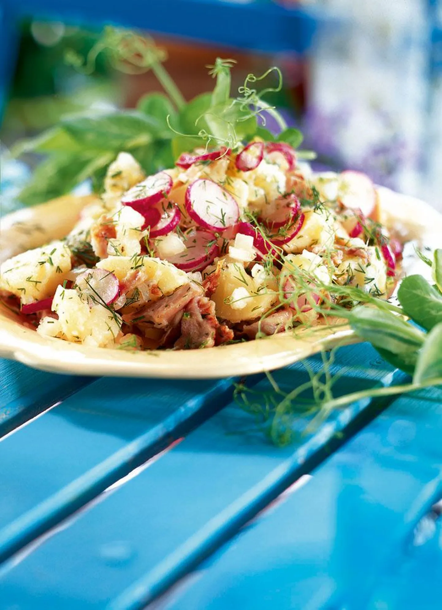 Suvine kartulisalat grillkana ja redistega
