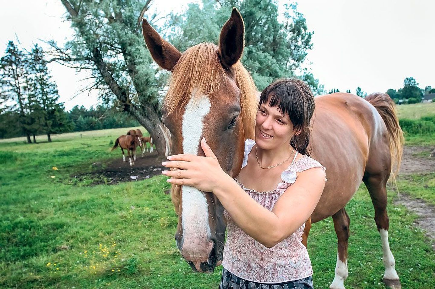 ”See on minu hobune Andreia, kõige leebem ja kõrgem, meeter seitsekümmend,” näitab Soometsa küla Kärbi talu perenaine Sirly Viirma oma lemmikut, Tori tõugu mära.