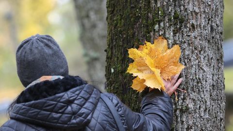 Oma kogemusi skisofreenikuna kirjeldanud Milena soovis jääda anonüümseks, et saaks oma loost vabamalt rääkida. Oma kogemusi skisofreenikuna kirjeldanud Milena soovis jääda anonüümseks, et saaks oma loost vabamalt rääkida.