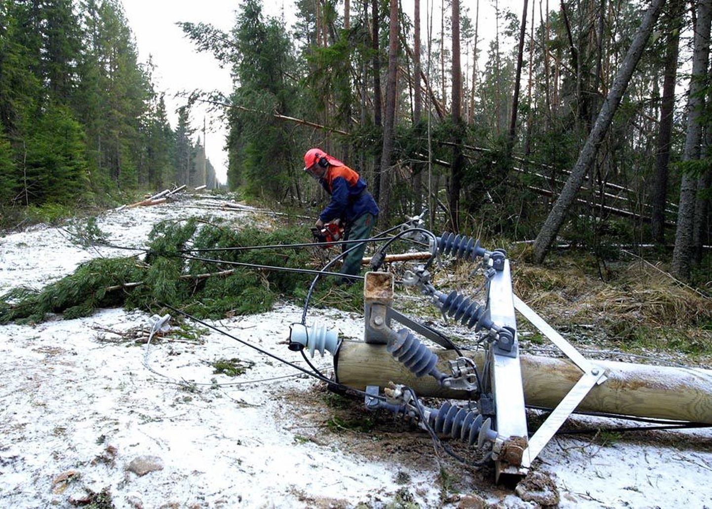 Et Viljandimaa on Eesti üks metsarikkamaid piirkondi, on siinne elektrivõrk ka haavatavam liinidele kukkuvatest puudest.
