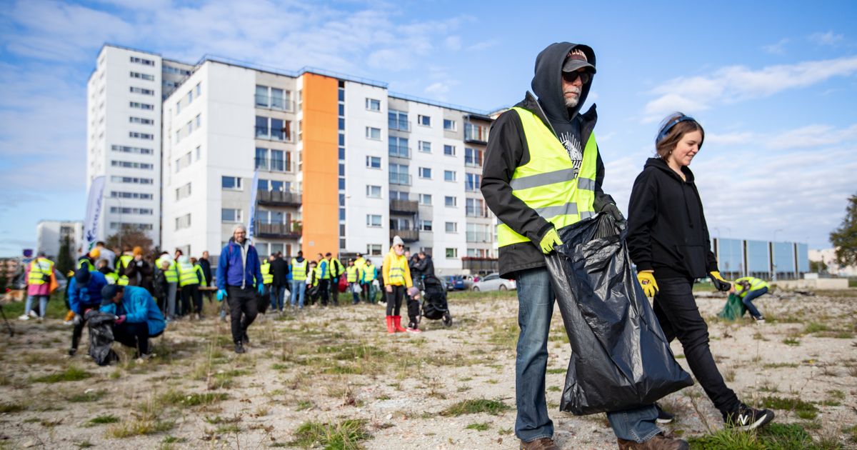 Водитель валя когда написана картина