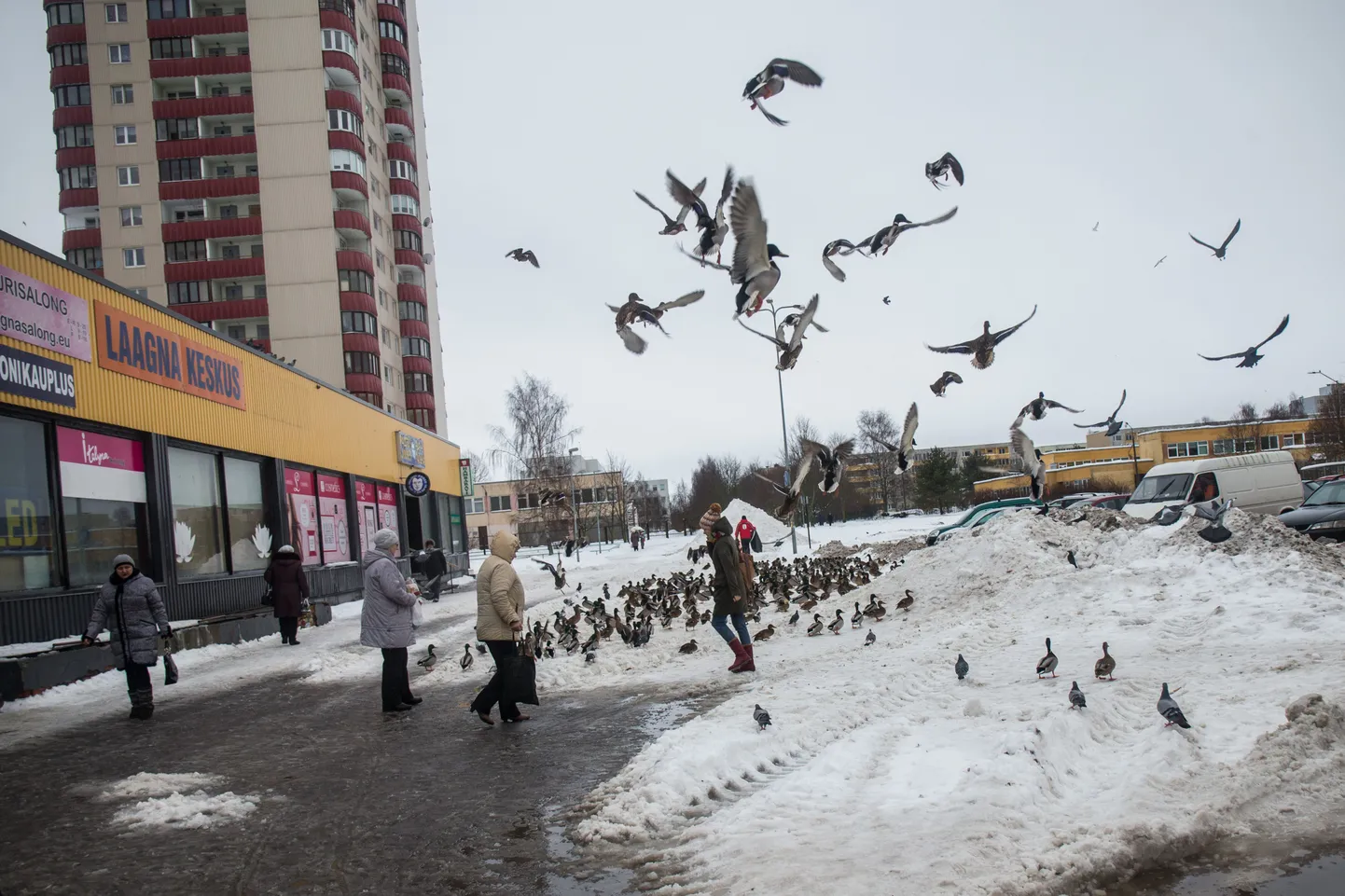 Фото статьи