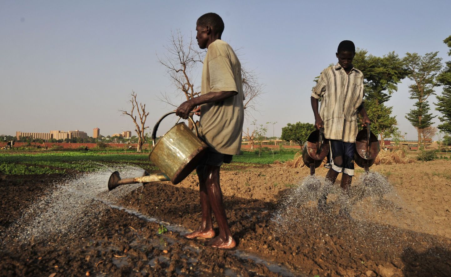 Nigeri põllumehed 27. mail. Selles piirkonnas kannatatakse tihti toidupuuduse all.
