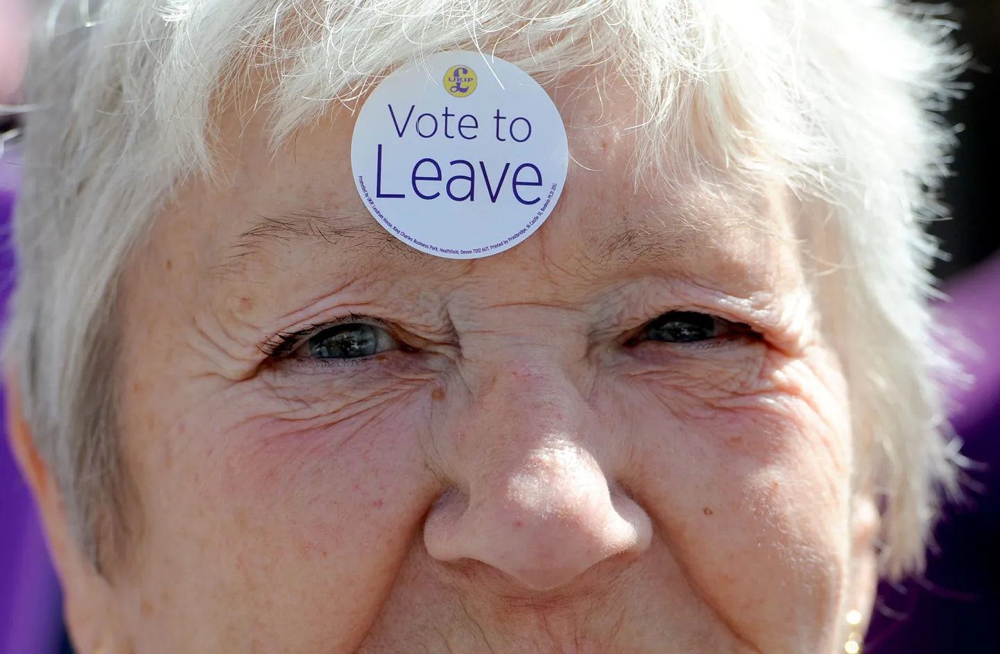 Brexiti toetaja