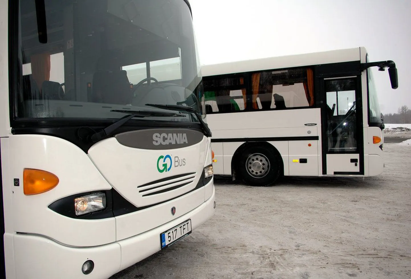 Firma GoBus bussid.
