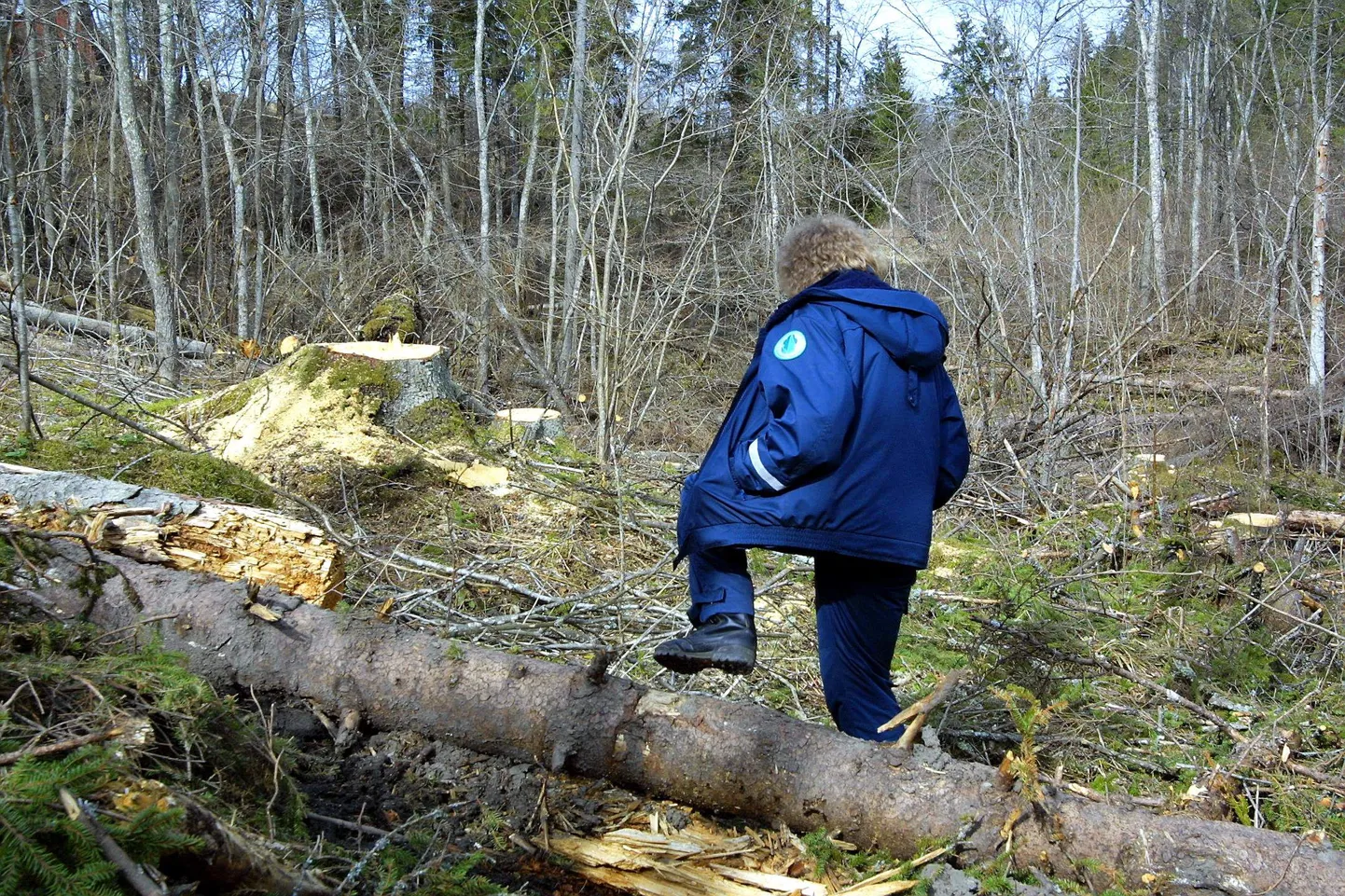 Keskkonnaminister allkirjastas määruse, millega keskkonnainspektsioon saab 1. septembrist uurimisasutuse volitused.