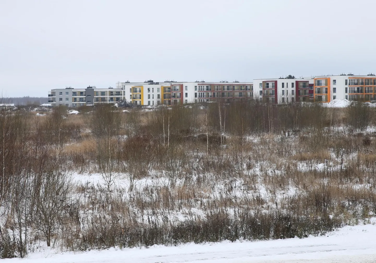 Uusarendus hakkab laiuma Laseri ja Kristalli tänava lähistel uute kortermajade juures asuval tühermaal.