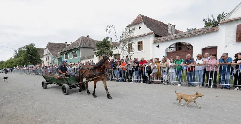 Valea Zălanului külarahvas tuli kuningat tervitama.