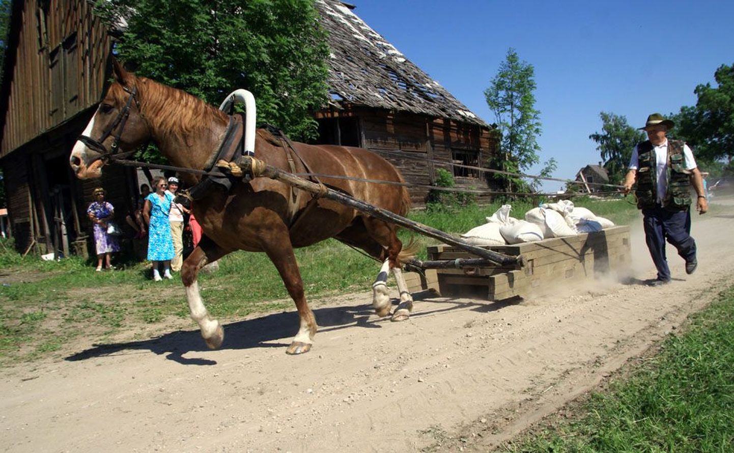 Tori hobusekasvanduses üleeile toimunud Tori hobuste kolmevõistluse võitis Peeter Nurmiku juhitud mära Ame, kes jättis seljataha paar täkkugi.