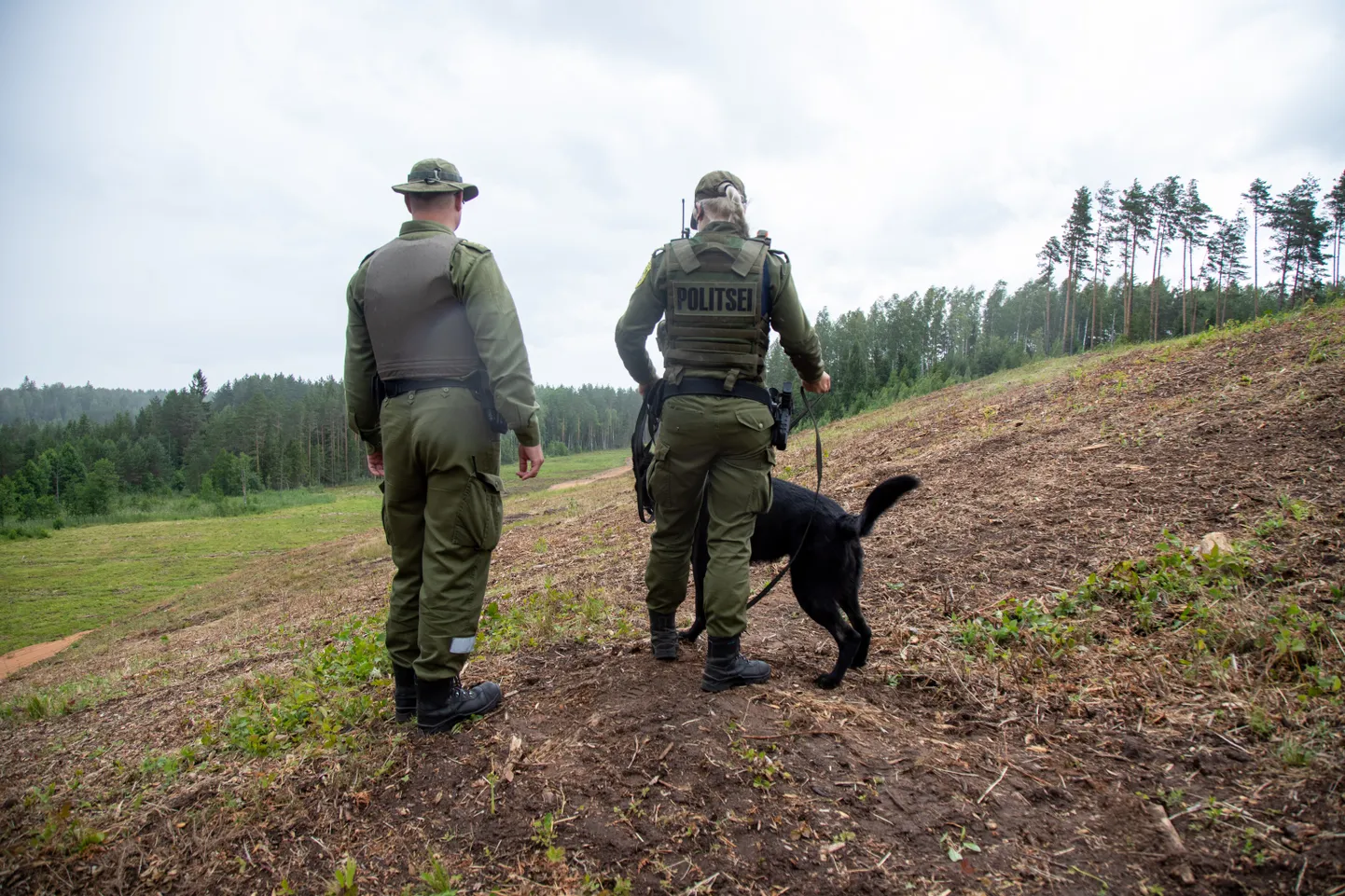 Пограничники с собакой стоят в волости Сетомаа на эстонско-российской границе.