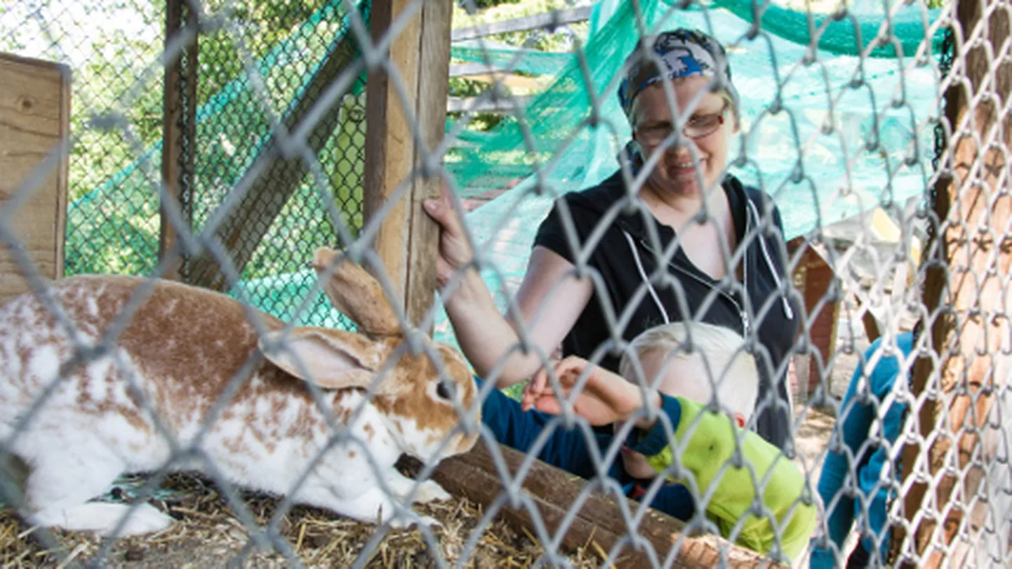 Männituka hobi- ja hobutalu Koogu külas on üks 17st Ida-Viru maaettevõttest, mis ootab 24. juulil külastajaid. Perenaine Kristel Allikmäe lubab, et avatud talude päeval on võimalik ratsutada, avatud on kodukohvik, saab kilesauna ning jalutada aias, kus muu hulgas kasvab sadakond lopsakat hostat. Loomi saab ka paitada.