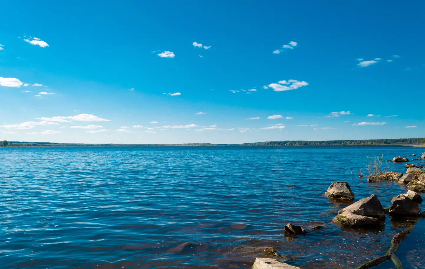 Järv. Pilt on illustreeriv