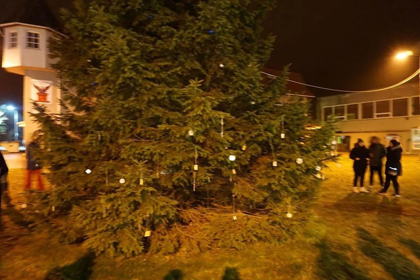 Helkuripuu Karksi-Nuia keskväljakul.