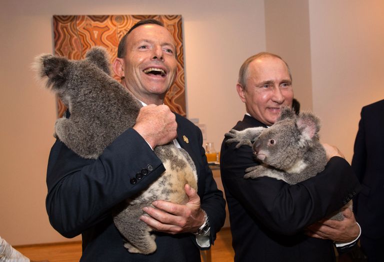 Mõnede tõlgenduste kohaselt paistis isegi koaala Vladimir Putini (paremal) süles märksa närvilisem kui Tony Abbotti käte vahel.