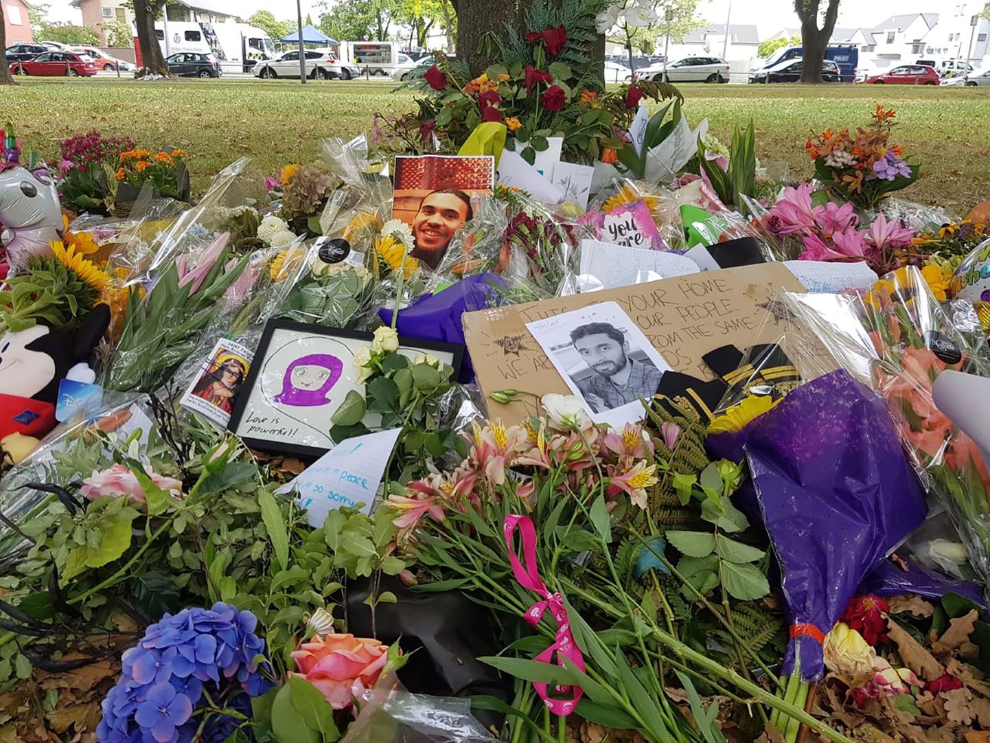 Жертвы теракта в Новой Зеландии.