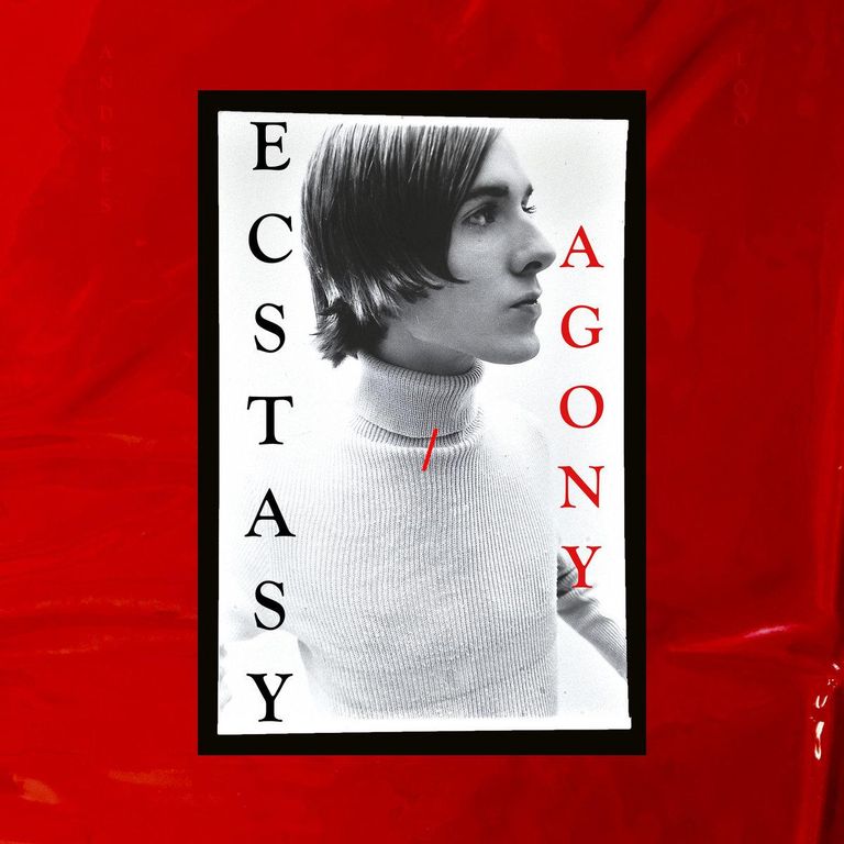 Andres Lõo, «Ecstasy/Agony». FOTO: