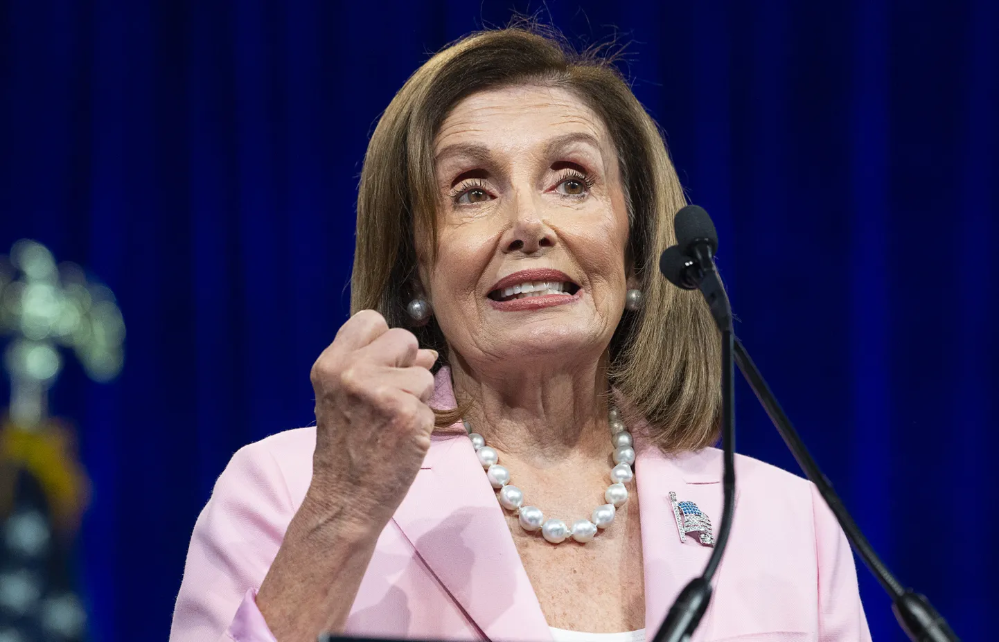 Nancy Pelosi.
