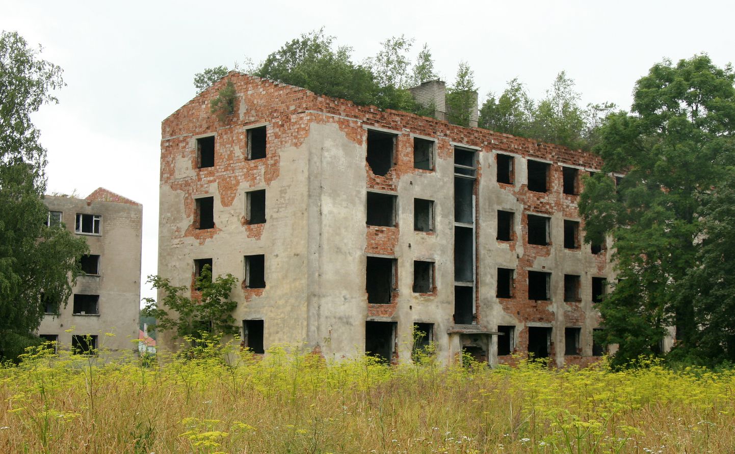 Kohtla-Järve Sompa linnaosas on paljudest majadest alles jäänud ainult varemed.