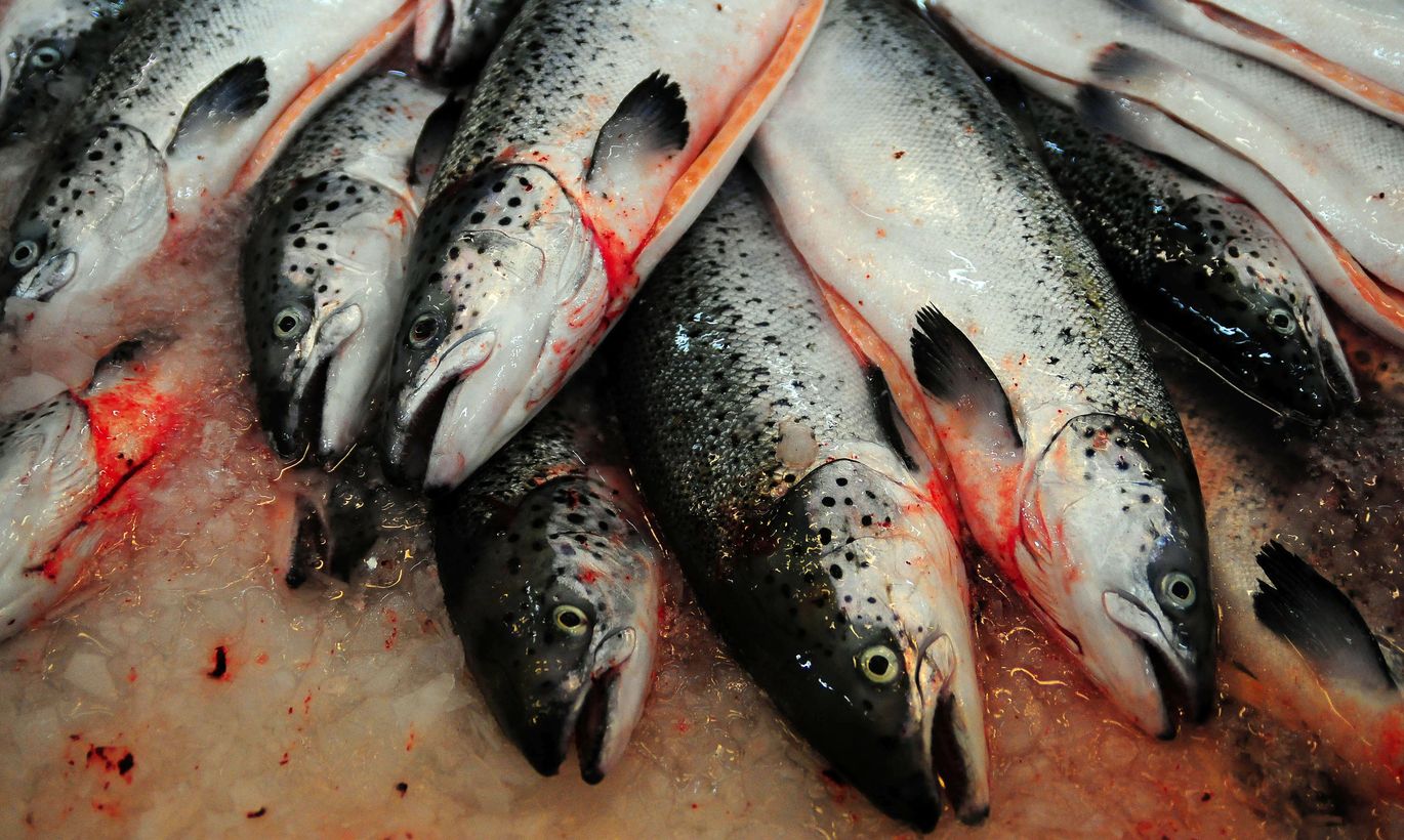 Estonian fish processor suspected Estonian news