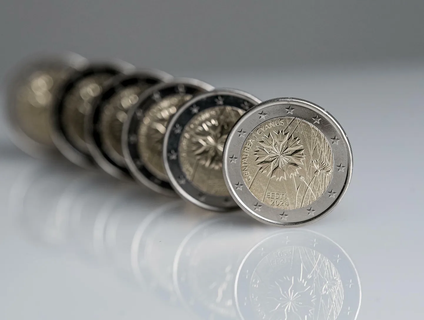 Rukkilillele pühendatud kaheeurone münt. Pilt on illustratiivne.