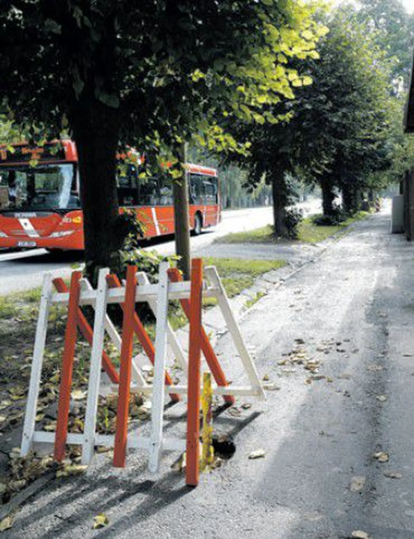 Kõnnitee Puiestee tänaval.