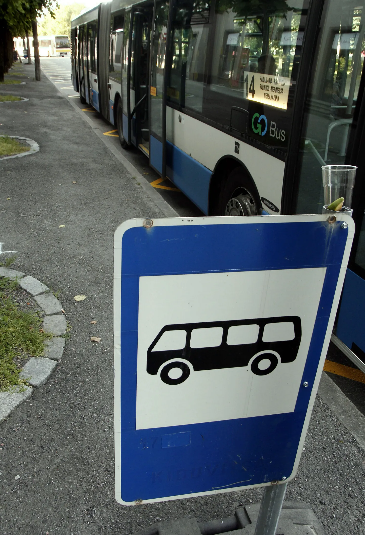 Bussipeatus.