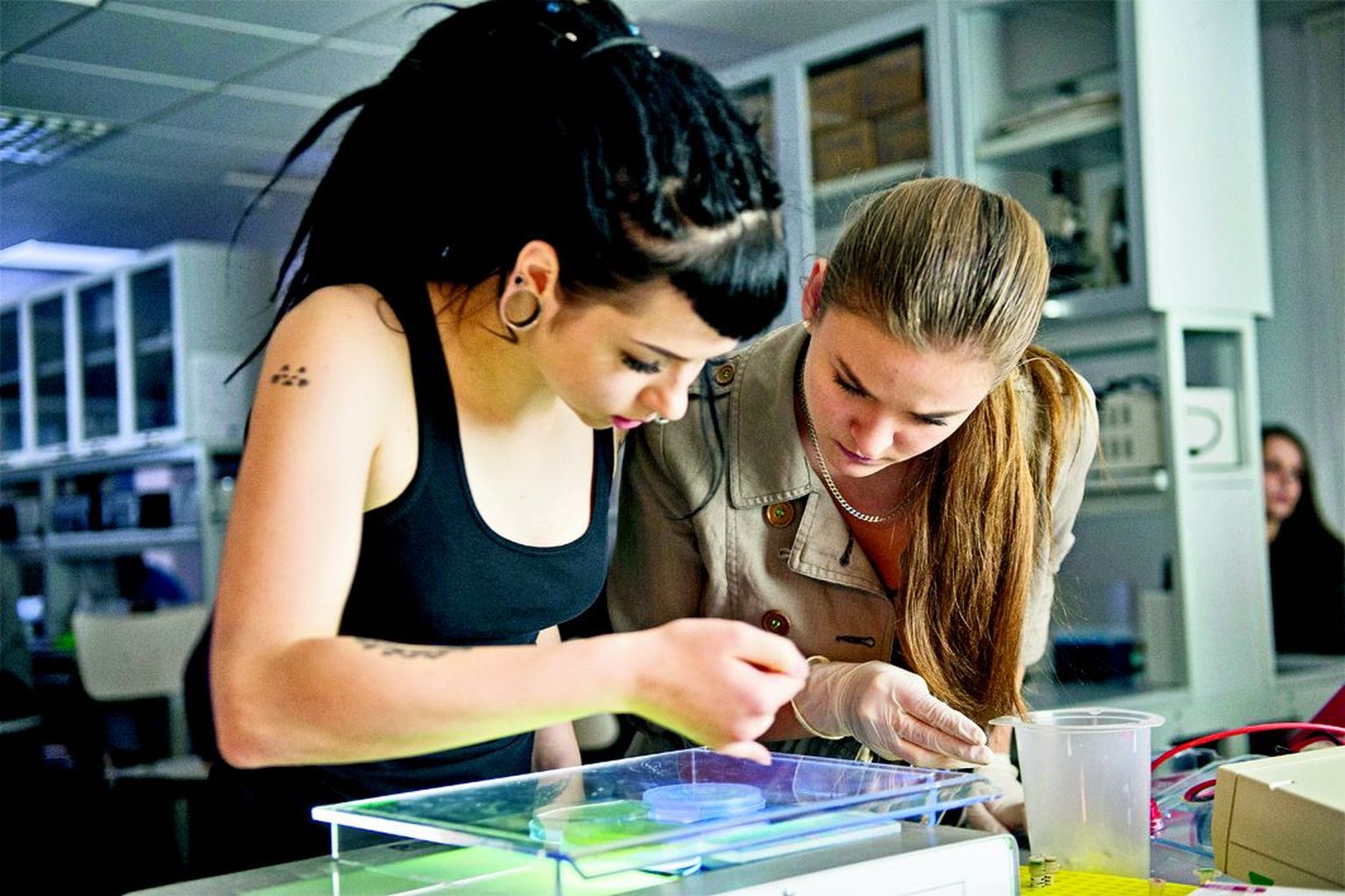 Tamme gümnaasiumi 12. klassi loodussuuna õpilased Merilin-Grete Kakko (vasakul) ja Ave-Ly Kaeramaa uurivad laboris praktikumikatsete tulemusi.