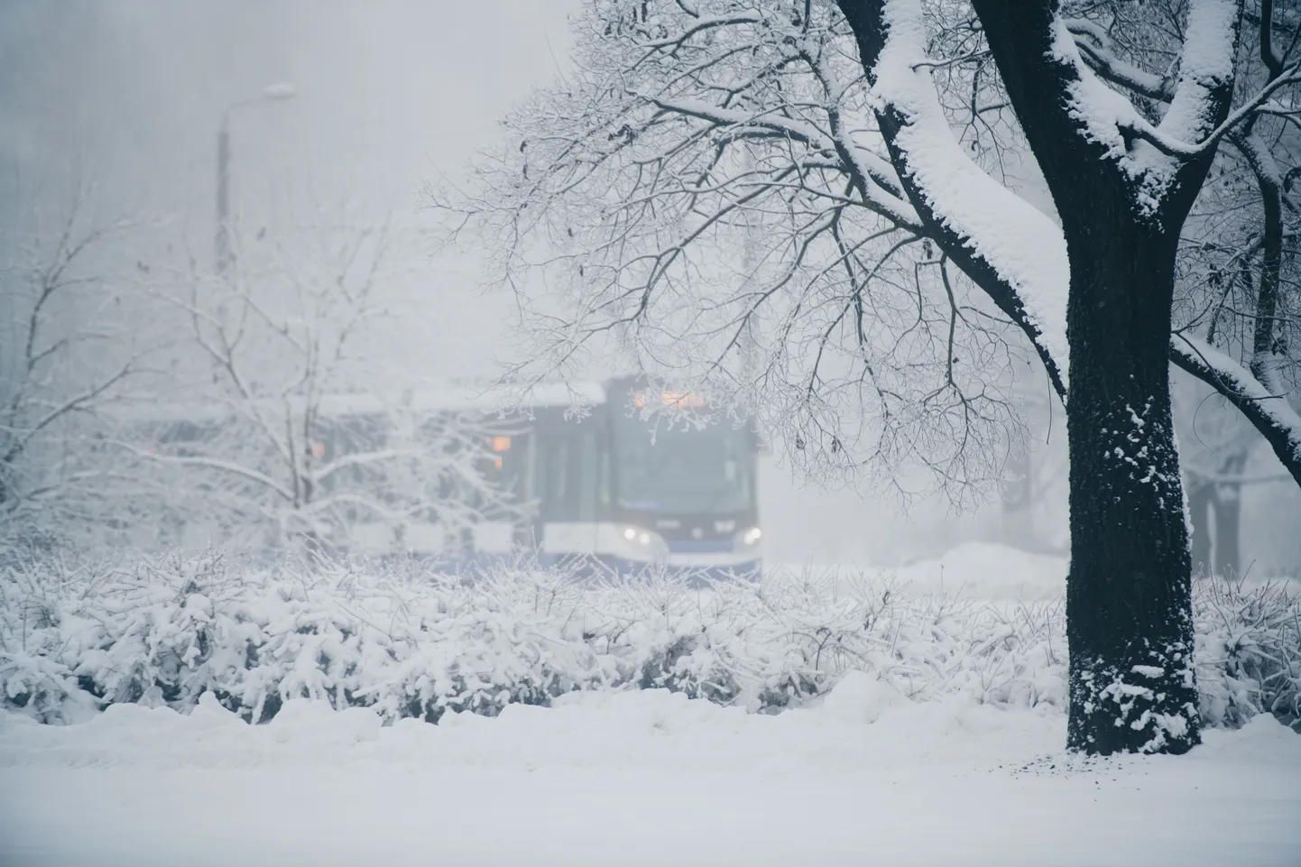Трамвай во время снегопада