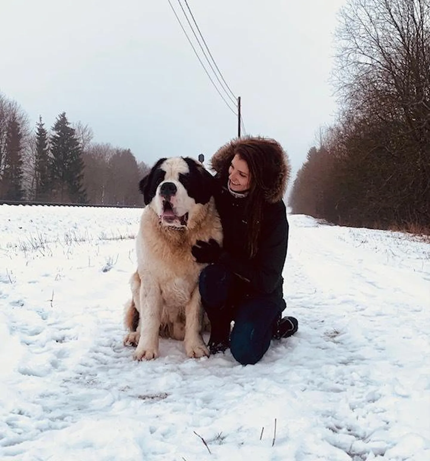 "Kui me arvame, et meie koer on probleem, asub probleem tegelikult hoopis rihma teises otsas. Täpselt nii palju, kui sina temasse panustad, annab ta sulle ka tagasi." Geethe Kaso