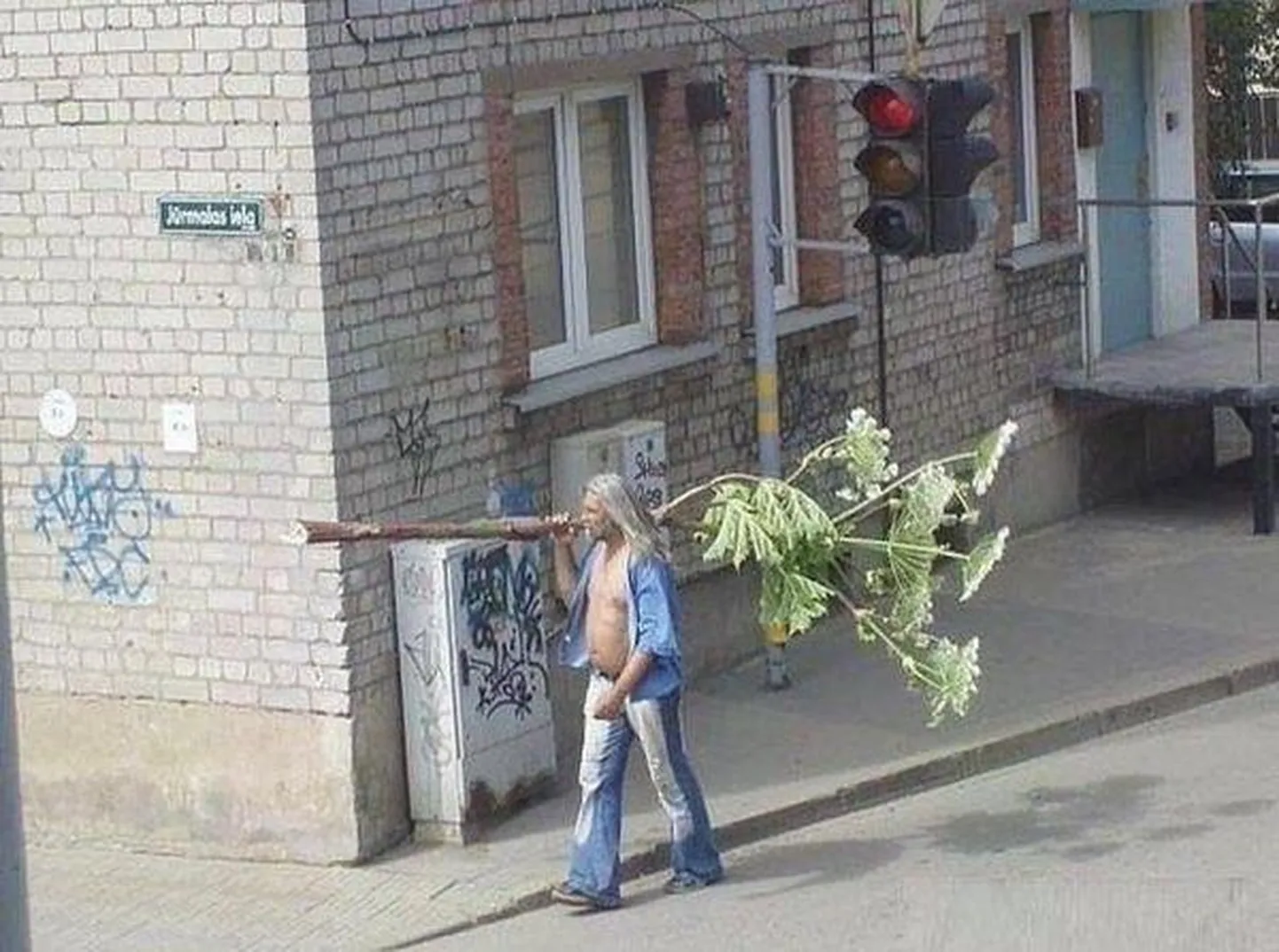 Фото статьи