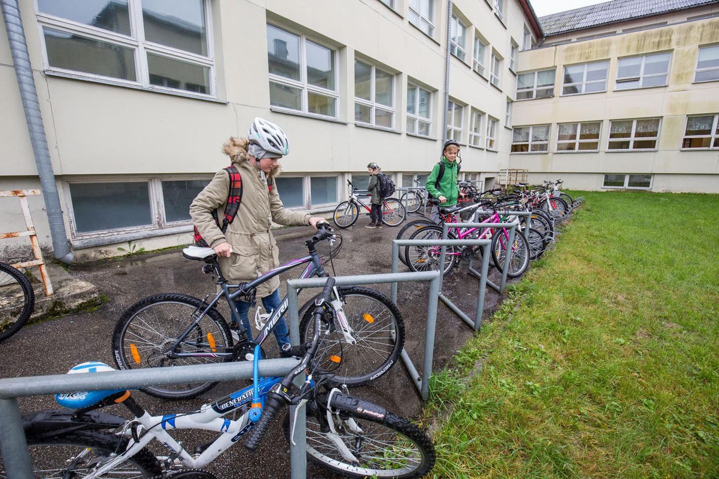 Paide ühisgümnaasiumi õpilased Marleene Randmaa (vasakult), Hendrik Haamer ja Rasmus Klaas sõidavad koolist koju jalgratastega ja kannavad nõuetekohaselt kiivreid.