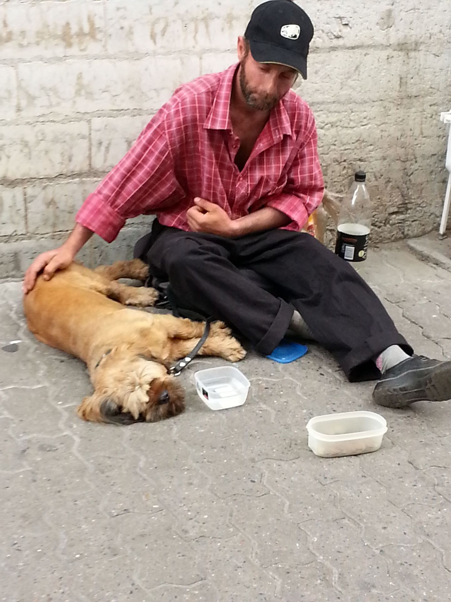 Mees väidetavalt apaatse koeraga Viru tänaval raha kerjamas.