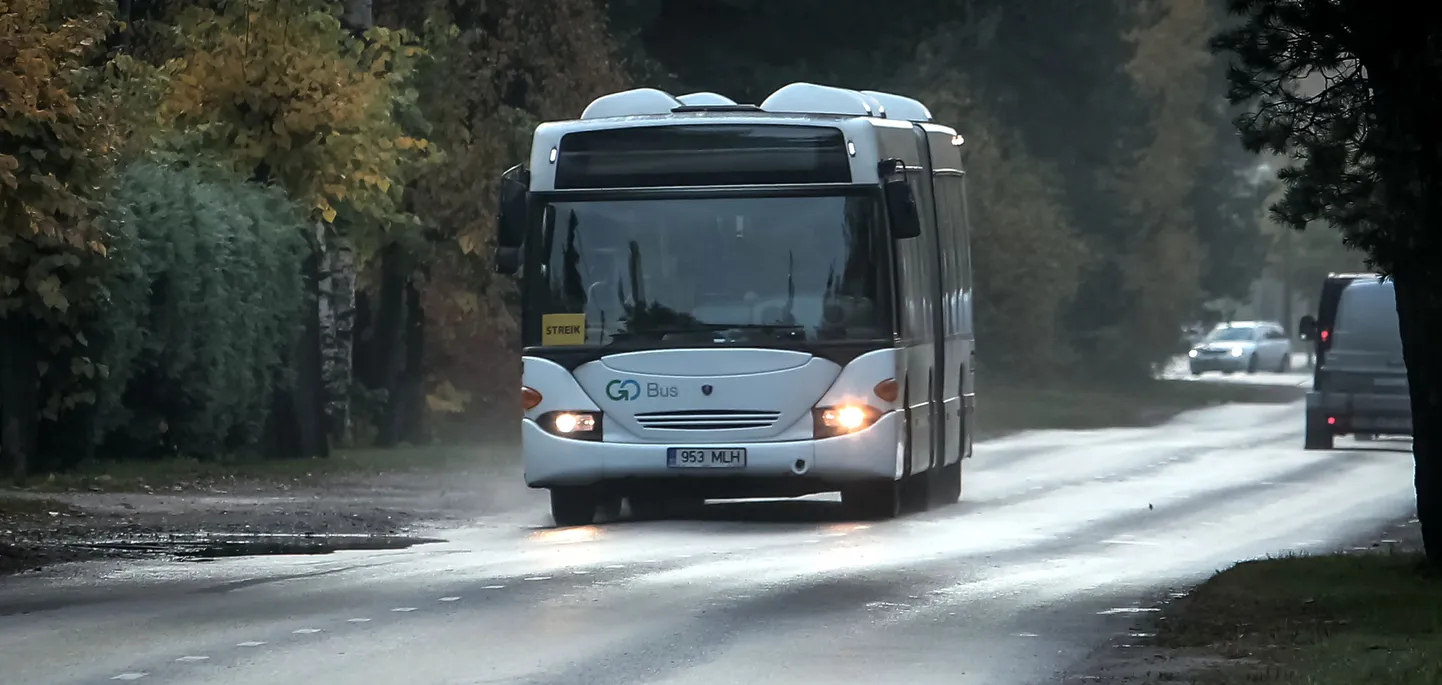 Buss