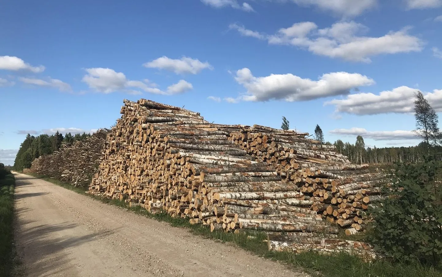 Palgivirnad, mis lähevad praegu suures osas Eestist välja.