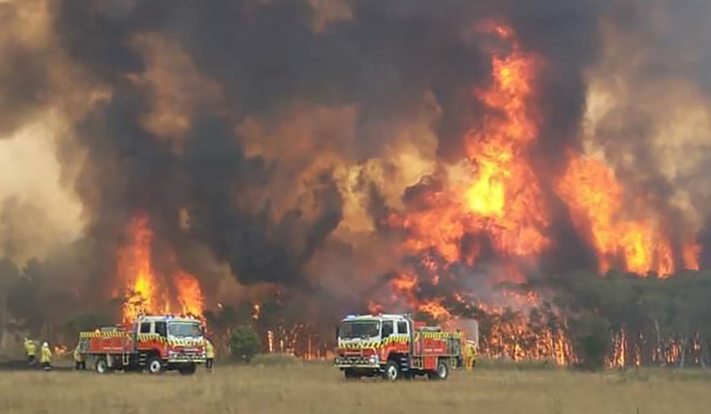 Austraalia New South Walesi tuletõrjeautod ja maastikupõleng