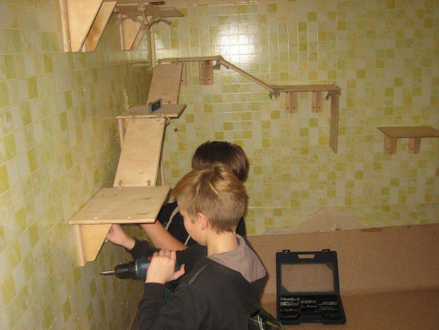 Tori põhikooli neljanda ja viienda klassi poisid meisterdasid tehnoloogiatundides Pärnu kodutute loomade varjupaiga kassidele istumis- ja turnimislavatsid.