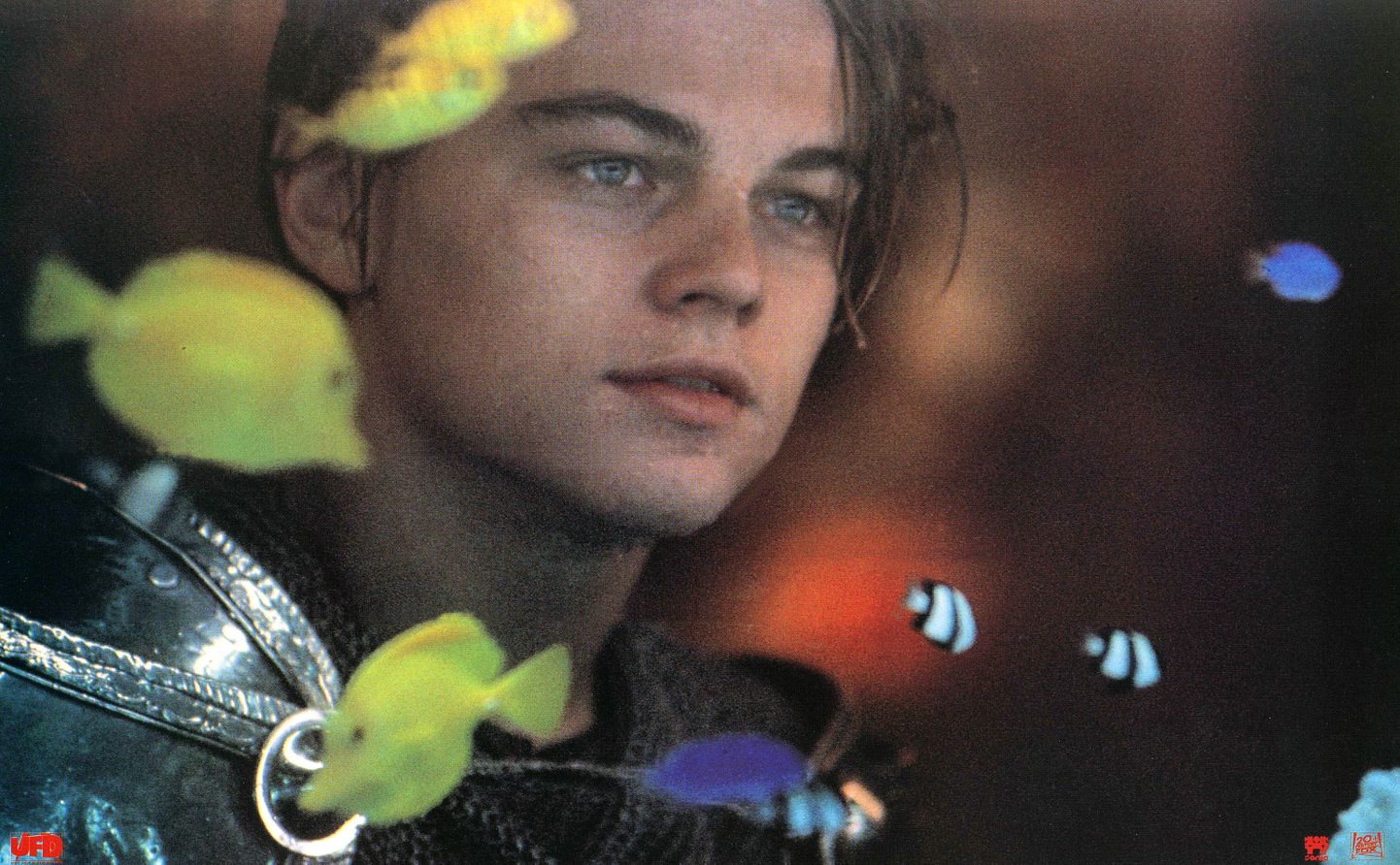 Leonardo DiCaprio aastal 1996