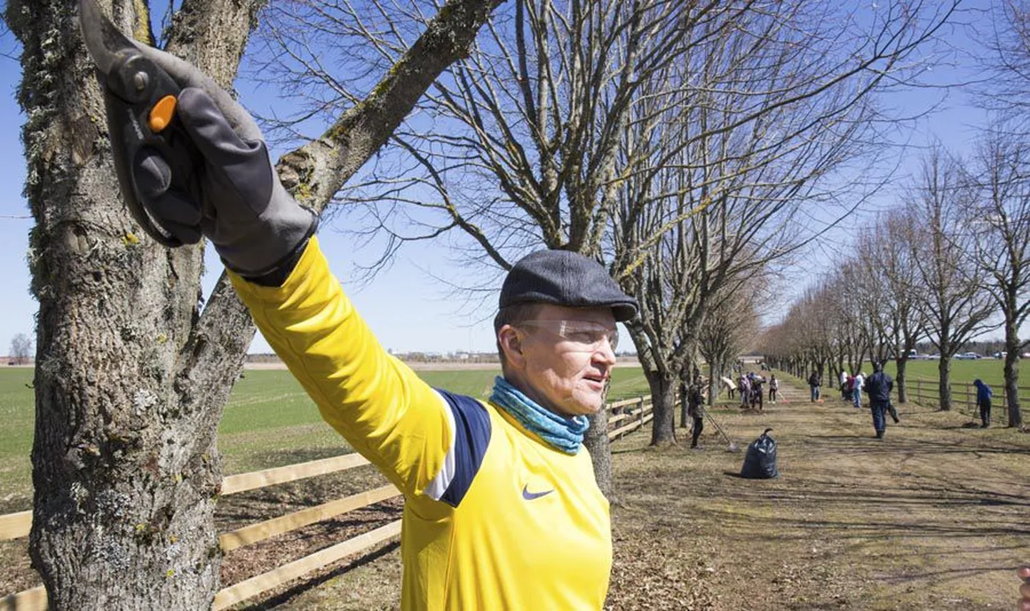 Koos Kalmetu kooli õpilaste ja mõne vabatahtlikuga oli eile talgutel tööhoos kindral Johan Laidoneri mälestusmärgi taastamise idee autor, ajaloolane Jaak Pihlak.